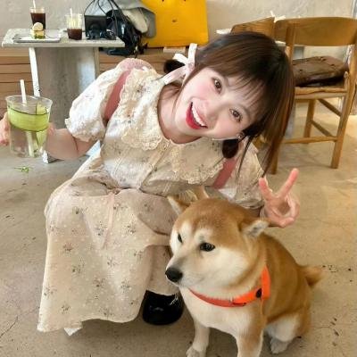 父亲的维也纳