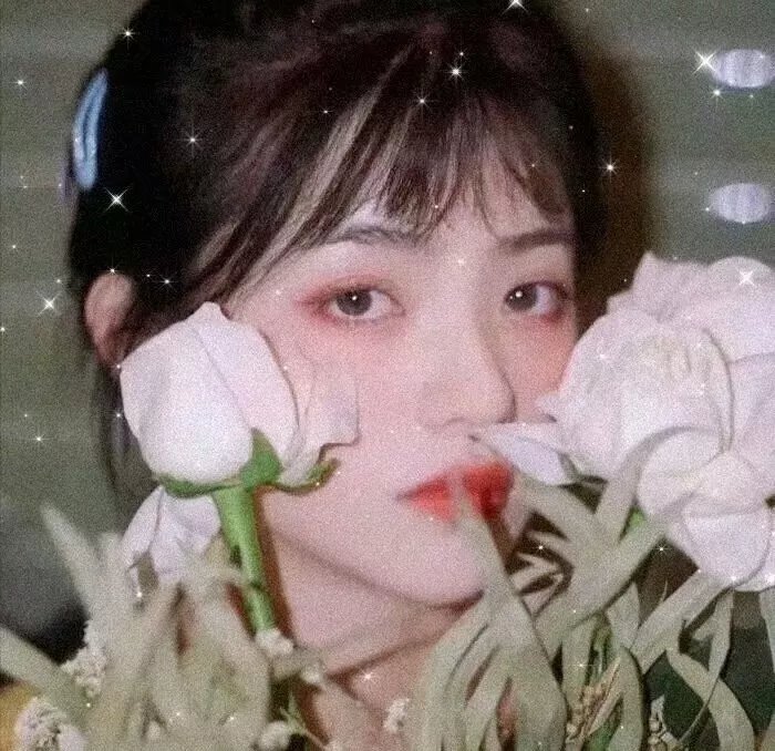 泰坦第一季